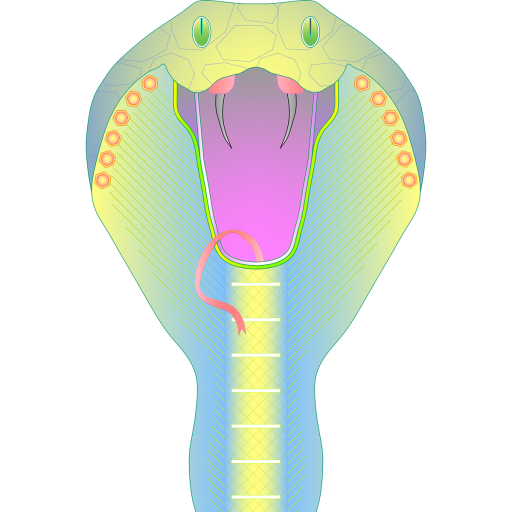 North Door Graphics LLC